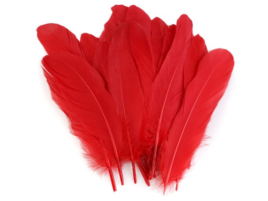 pióra gęsie 15-21 cm. czerwone