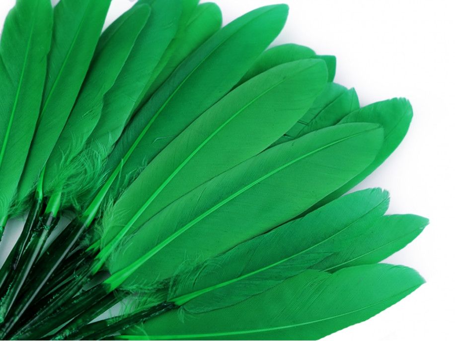 pióra kacze 9-14 cm opak.20 sztuk zielone