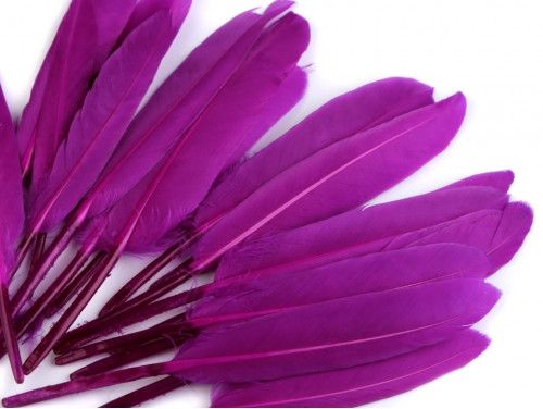 pióra kacze 9-14 cm opak.20 sztuk purpurowe