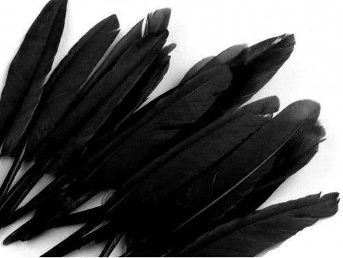pióra kacze 9-14 cm opak.20 sztuk czarne