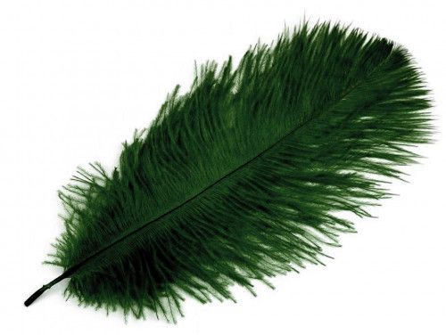 strusie pióro 20-25 cm zielone ciemne