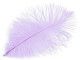 strusie pióro 20-25 cm liliowe