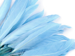 pióra kacze 9-14 cm opak.20 sztuk niebieskie