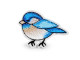 Aplikacja ptaszek niebieski