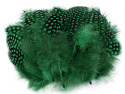 pióra perliczki 5-13cm.20 sztuk zielone