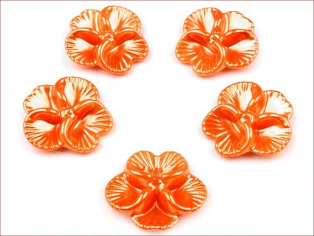 koraliki bratki pomarańczowe
