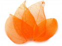 liście do dekoracji pomarańczowe