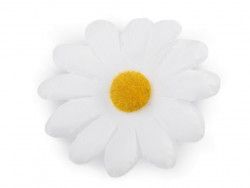 kwiat margaretka biała