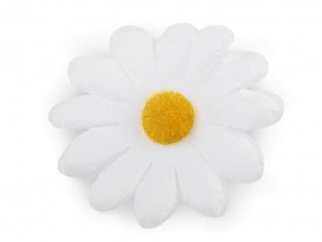 kwiat margaretka biała